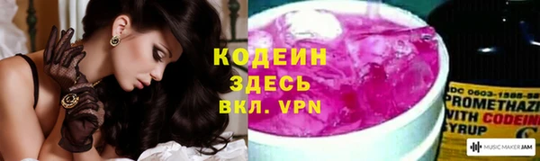 ГАЛЛЮЦИНОГЕННЫЕ ГРИБЫ Алзамай