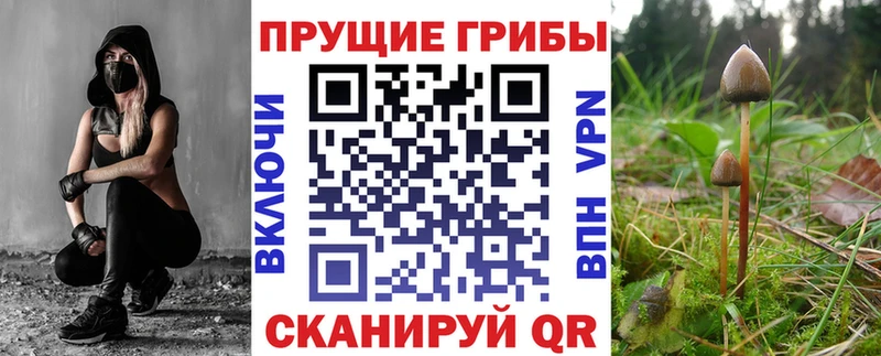 закладки  мориарти формула  Галлюциногенные грибы GOLDEN TEACHER  Баймак 